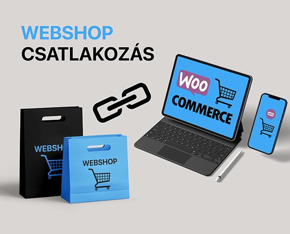 Native Számlázó Webshop összekötés